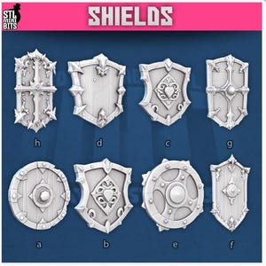 Op de afbeelding: Een verzameling van acht zilverkleurige schilden met gedetailleerde ontwerpen. De schilden variëren in vorm, met ingewikkelde gravures en versieringen. Het woord "SHIELDS" staat in roze bovenaan de afbeelding.