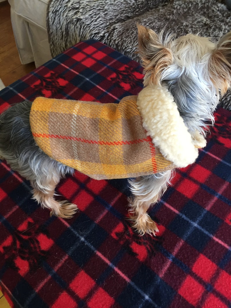 Harris Tweed Dog Coat Yellow Dog Coat Plaid Dog Coat Dog Etsy