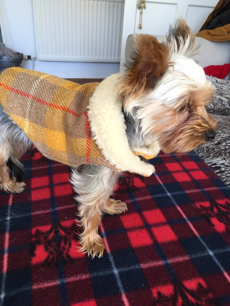 Harris tweed dog coat yellow dog coat plaid dog coat dog Etsy