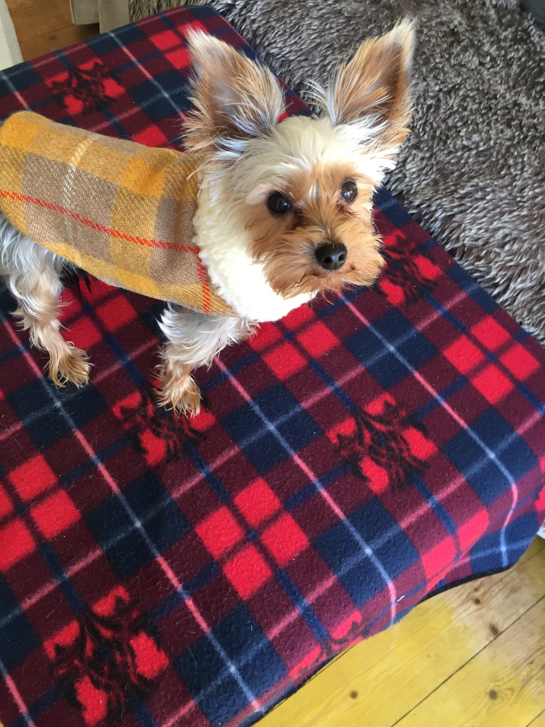 Harris Tweed Dog Coat, Yellow Dog Coat, Plaid Dog Coat, Dog Coat, Pet