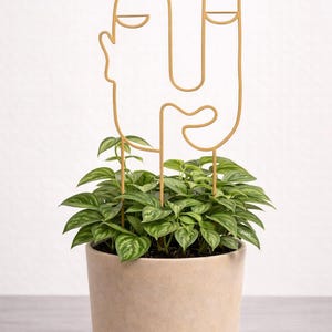 Indoor Trellis Set of 3, 3D Print Plant Support, Monstera Houseplant Decor abstract face