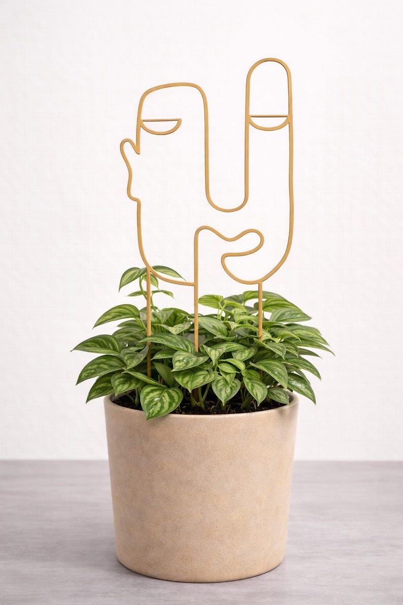 Indoor Trellis Set of 3, 3D Print Plant Support, Monstera Houseplant Decor abstract face