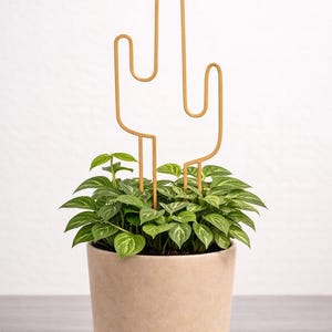 Indoor Trellis Set of 3, 3D Print Plant Support, Monstera Houseplant Decor image 5