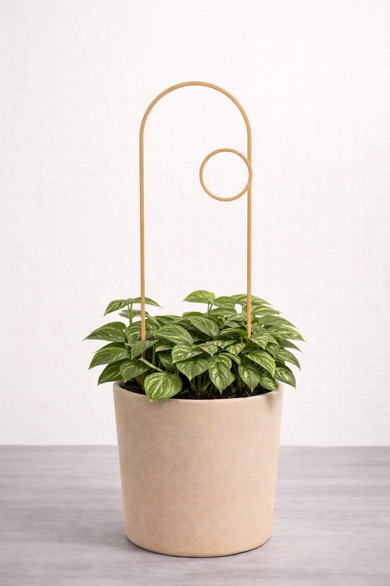 Indoor Trellis Set of 3, 3D Print Plant Support, Monstera Houseplant Decor small circle