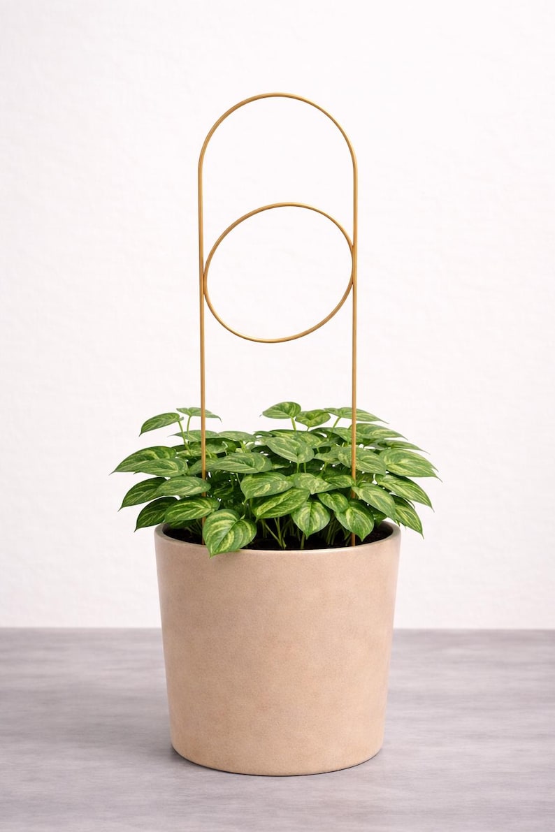 Indoor Trellis Set of 3, 3D Print Plant Support, Monstera Houseplant Decor big circle