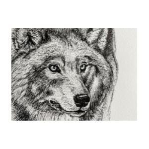 Pen and ink drawing