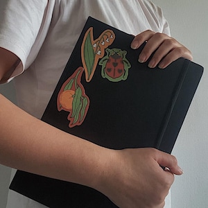 Lot de 3 stickers. un brin de muguet, une coccinelle et une clémentine avec ces feuilles