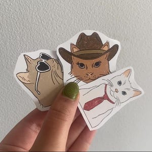 lot de 3 stickers chat fashion