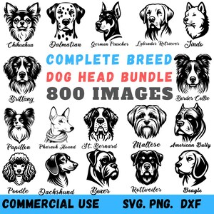 Könnte beinhalten: Schwarz-Weiß-Illustrationen von Hunde-Köpfen, darunter Chihuahua, Dalmatiner und Labrador Retriever. Das Bild enthält den Text "COMPLETE BREED DOG HEAD BUNDLE 800 IMAGES" und "COMMERCIAL USE SVG. PNG. DXF".