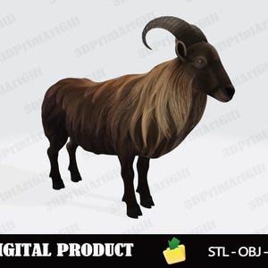 Black Himalayan Mountain Goat 3D Model for Printing, Detailed Animal Sculpture STL File, Ready to Print Stl Obj Glb Format