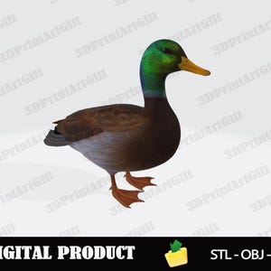 Duck 3D Model for Printing, Realistic Mallard STL File Download, Ready to Print Obj Glb Format for 3D Printer