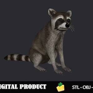 Raccoon 3D Model STL, OBJ, 3MF Files for 3D Printing, Printable Animal Figure for Resin and FDM Printers, Digital Instant Download