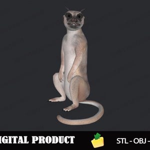 Meerkat 3D Model STL, OBJ, 3MF Files for 3D Printing, Printable Animal Figure for Resin and FDM Printers, Digital Download