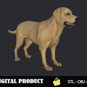 Labrador Retriever 3D Model STL File, Printable Dog Figure for 3D Printing, DIY Pet Miniature Model, Dog Stl Obj 3mf Format, Instant Downloa