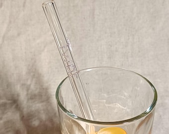 Pajita de cristal con groserías: pajita reutilizable con un insulto descarado, un regalo divertido para adultos y mejores amigos.
