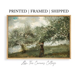 May include: A framed print of a vintage painting depicting a woman in a long dress under blossoming trees. The artwork has a soft, impressionistic style with a muted color palette of greens, whites, and browns. The text "PRINTED | FRAMED | SHIPPED" is at the top.