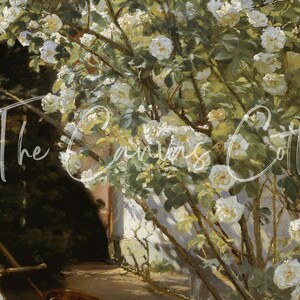 May include: An impressionistic painting of a garden scene with white roses in full bloom. The text "The Canvas Cottage" is overlaid on the image. A person is seated in a chair, reading. The scene is bathed in sunlight.