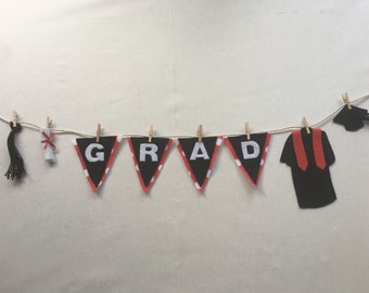 Graduation Miniature Felt Clothesline Banner Garland Bunting Decoration