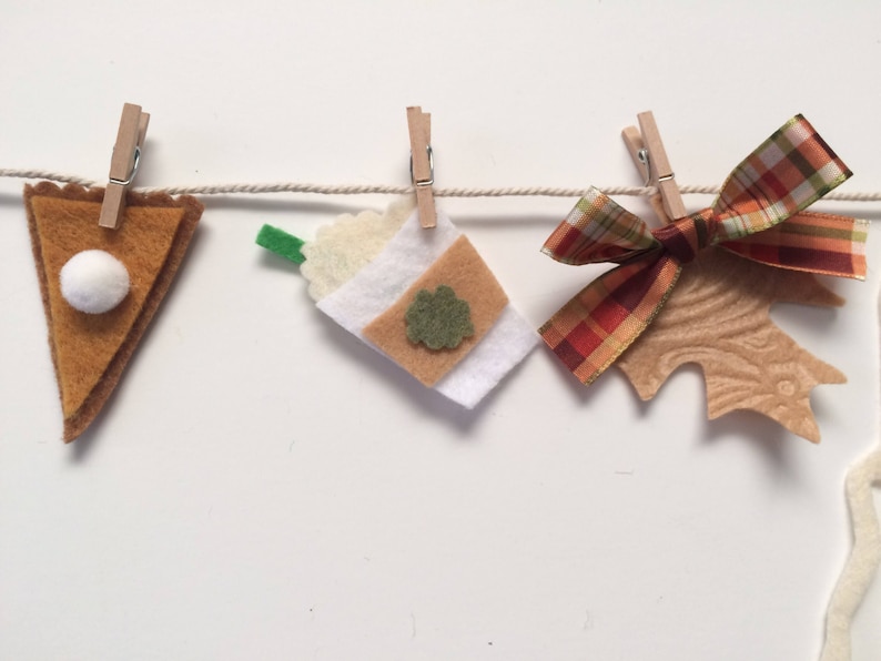 Fall Pumpkin Spice Miniature Clothesline Decoration Banner Garland Felt Bunting Autumn Harvest image 5