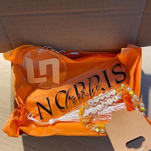 Box fan de F1 – Spécial Lando Norris (McLaren)