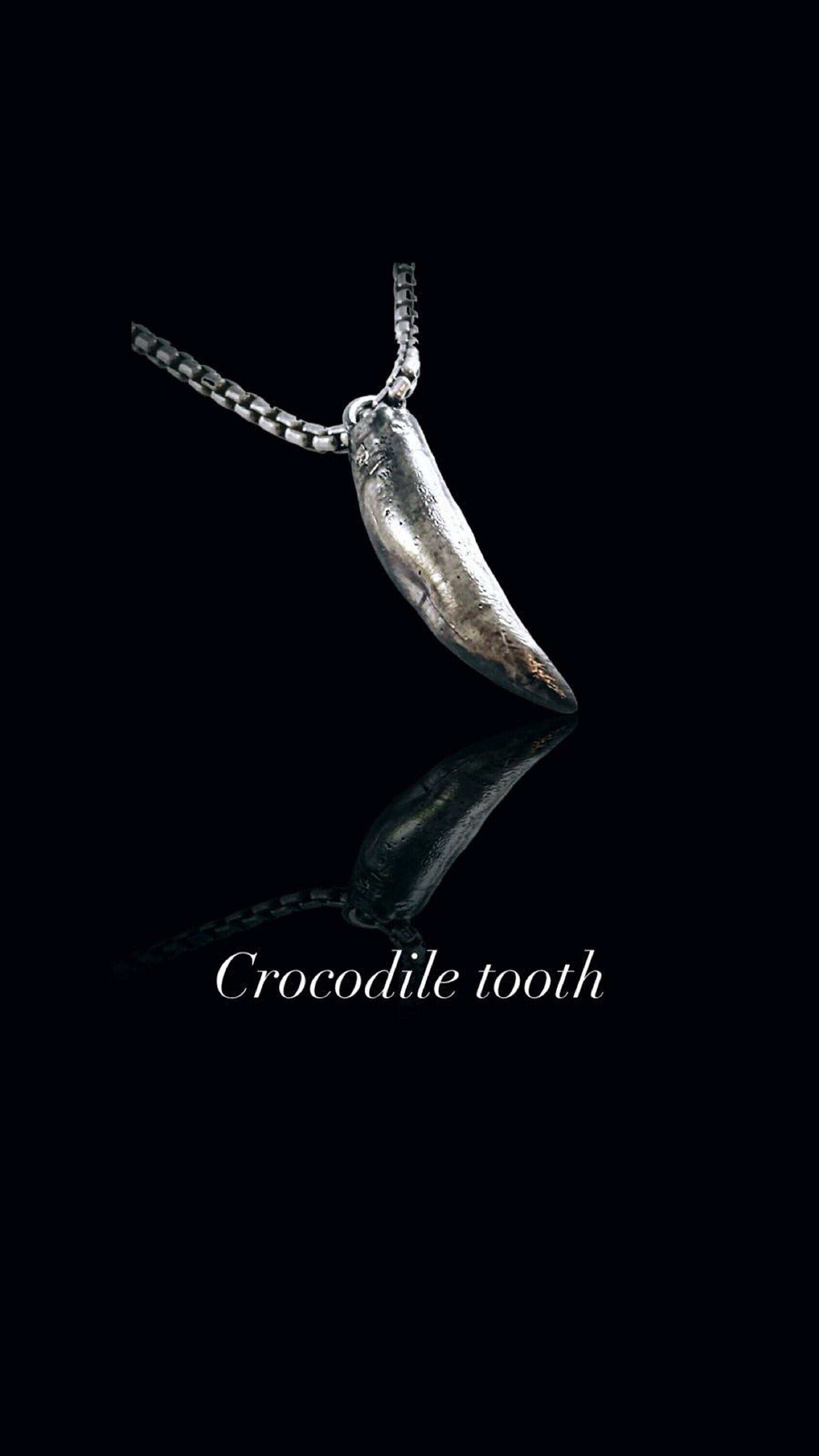 Claw Necklace for Men, Men's Alligator Tooth Necklace With a Black Wax  Cord, Silver Plated Claw Pendant. Gift for Him, Men's Jewelry 