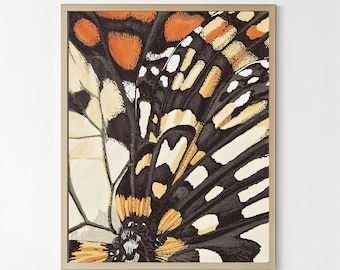 Decorazione da parete con farfalla arancione e nera / Poster moderno con ali di farfalla - Opera d'arte ispirata alla natura con dettagli strutturati in stile botanico