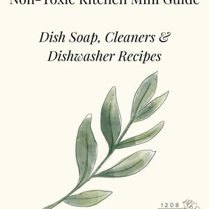 Non-Toxic Kitchen Mini Guide – DIY Safe Recipes & Cleaning Tips