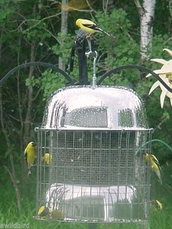 Mangeoire à Oiseaux écureuil Preuve Xl En Acier Inoxydable