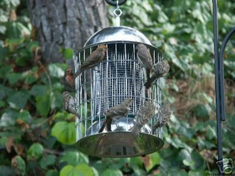 Squirrel Proof Stainless Steel Bird Feeder Etsy