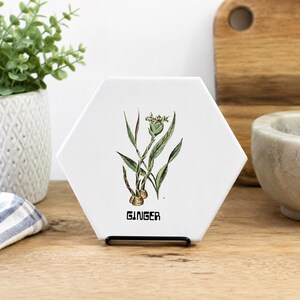 May include: A white hexagonal ceramic tile featuring a botanical illustration of a ginger plant with green leaves and tan roots. The word GINGER is printed in black capital letters below the plant illustration. The tile rests on a black stand.