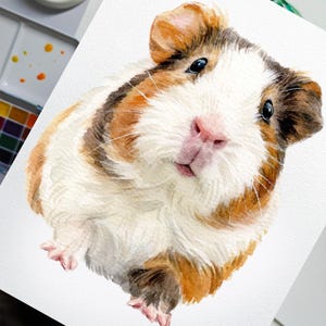 May include: Watercolor painting of a guinea pig. The guinea pig has a white face and body with patches of brown and orange fur. The animal has black eyes and a pink nose and feet. The artwork is on white paper.