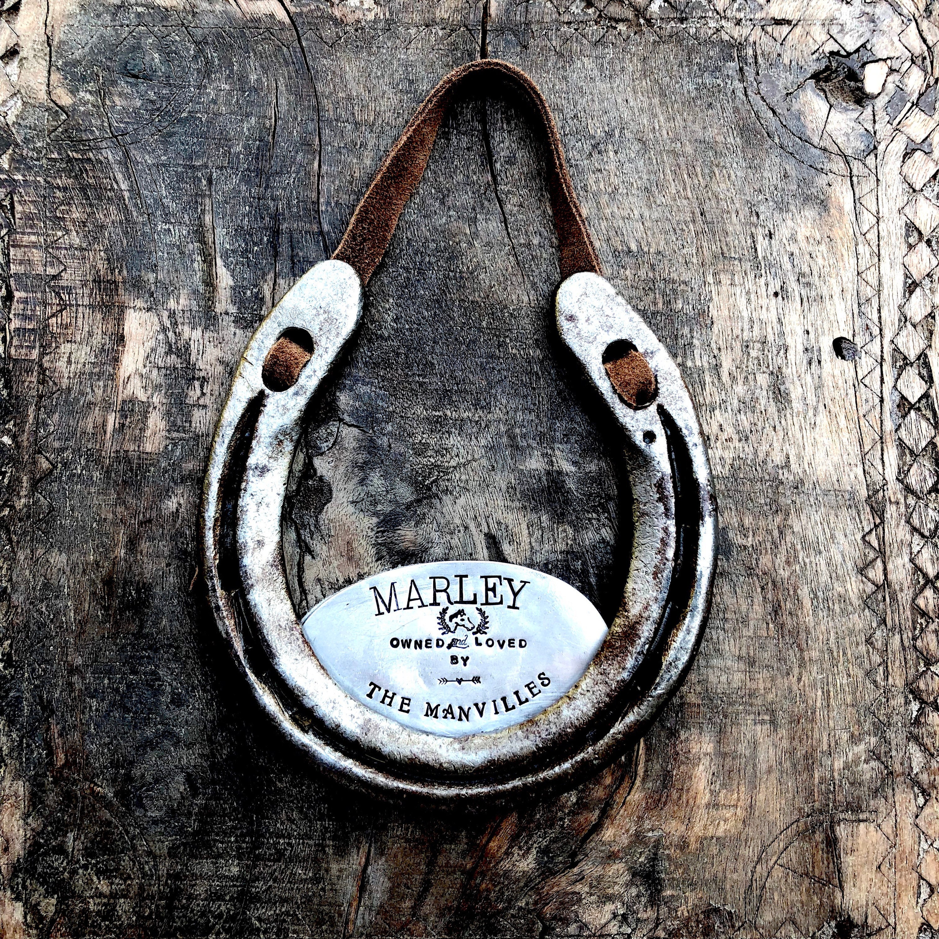 The Stall Name Plate Horseshoe for Horse or Pony Stall. Barn Etsy