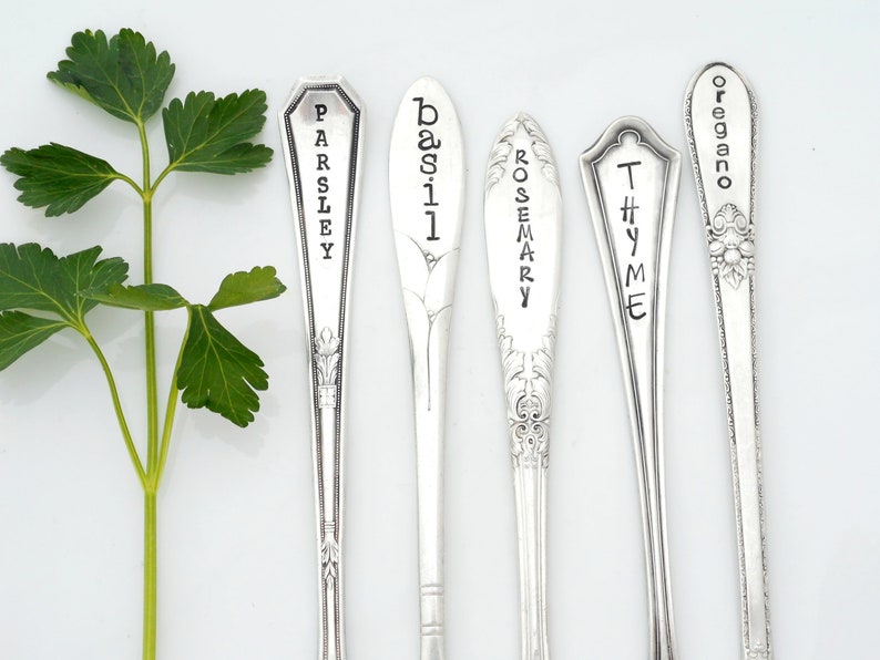 May include: Five silver spoons with the words "Parsley", "Basil", "Rosemary", "Thyme", and "Oregano" engraved on them.