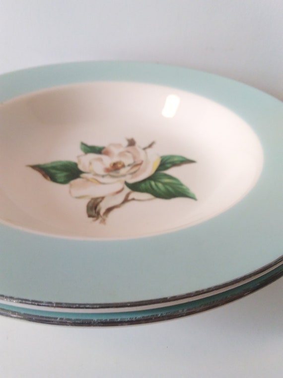 Vintage 50s Lifetime China 