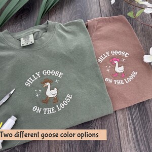 Two Different Goose Color Options