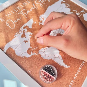 May include: A framed cork board world map with white printed continents and the text "THE WILKINS" and "Our Travel Story" and "LAST ADVENTURE". A small clear container holds silver and rose gold push pins for marking locations on the map.