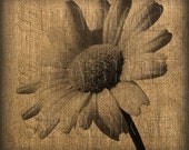 Items similar to Daisy Clip Art Printable Iron Transfer Burlap Paper ...