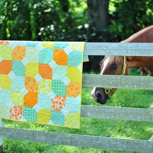 May include: A colorful patchwork quilt with yellow, orange, blue, and green squares hangs on a wooden fence. A brown horse with a white blaze on its face looks over the fence.