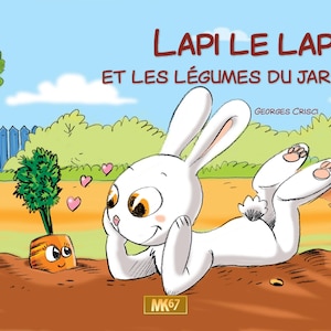 KAMISHIBAI D'OCCASION TRADITIONNEL cartonné - Lapi le lapin et les légumes du jardin