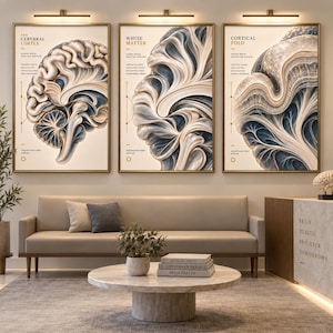 Op de afbeelding: Een set van drie ingelijste wandkunstprints met anatomische illustraties van het menselijk brein. De prints zijn getiteld The Cerebral Cortex, White Matter en Cortical Fold en tonen ingewikkelde blauwe en crèmekleurige wervelende patronen.