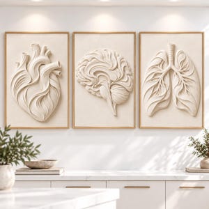 May include: A set of three rectangular wall art pieces in light wooden frames, featuring raised, off-white, three-dimensional relief sculptures of a human heart, a human brain, and human lungs against a matching off-white background.