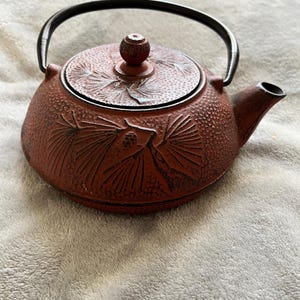 May include: A reddish-brown cast iron teapot with a black handle and spout. The lid features an embossed floral design. The teapot is round with a textured surface. A small knob is on top of the lid.
