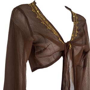 Puede incluir: Una blusa marr&oacute;n transparente de manga larga con cierre de lazo frontal y escote en V profundo. Los bordes del escote est&aacute;n decorados con lentejuelas doradas y bordados met&aacute;licos intrincados, aportando un brillo sutil a la tela.
