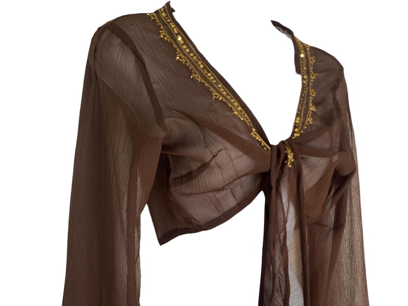 Puede incluir: Una blusa marr&oacute;n transparente de manga larga con cierre de lazo frontal y escote en V profundo. Los bordes del escote est&aacute;n decorados con lentejuelas doradas y bordados met&aacute;licos intrincados, aportando un brillo sutil a la tela.
