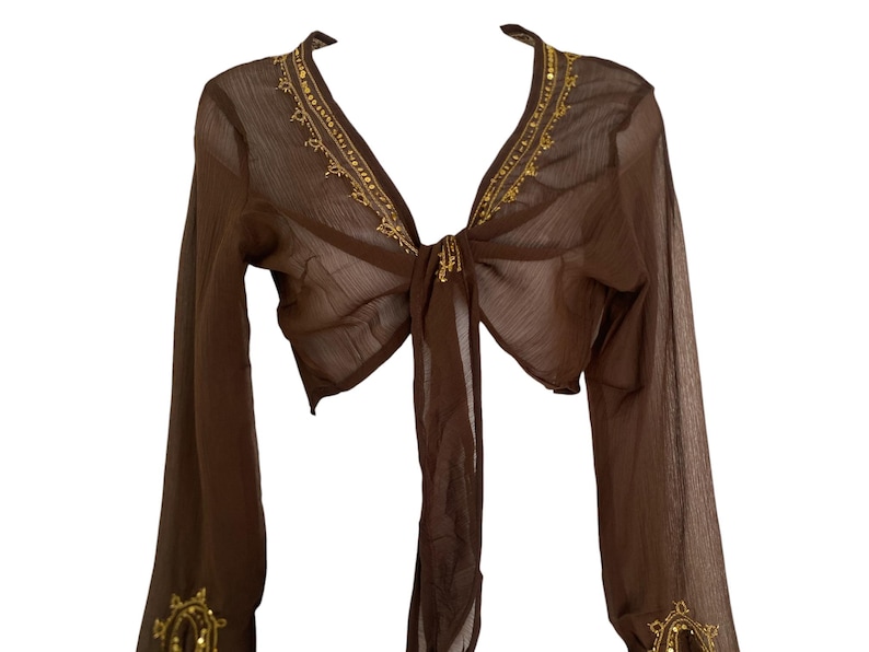 Puede incluir: Una blusa transparente de color marr&oacute;n con mangas largas, cierre frontal de lazo y escote en V profundo. La prenda est&aacute; decorada con bordados de color dorado y peque&ntilde;as lentejuelas met&aacute;licas a lo largo del cuello y los pu&ntilde;os.