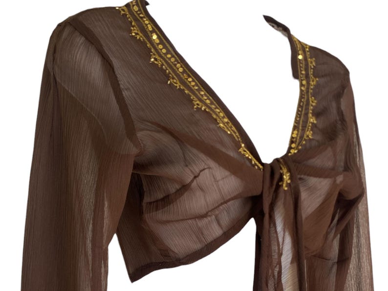 Puede incluir: Una blusa transparente de color marr&oacute;n con mangas largas y cierre de lazo frontal, con un escote en V profundo. Los bordes del escote est&aacute;n decorados con bordados dorados y peque&ntilde;as lentejuelas met&aacute;licas. La tela tiene una textura fina y arrugada.