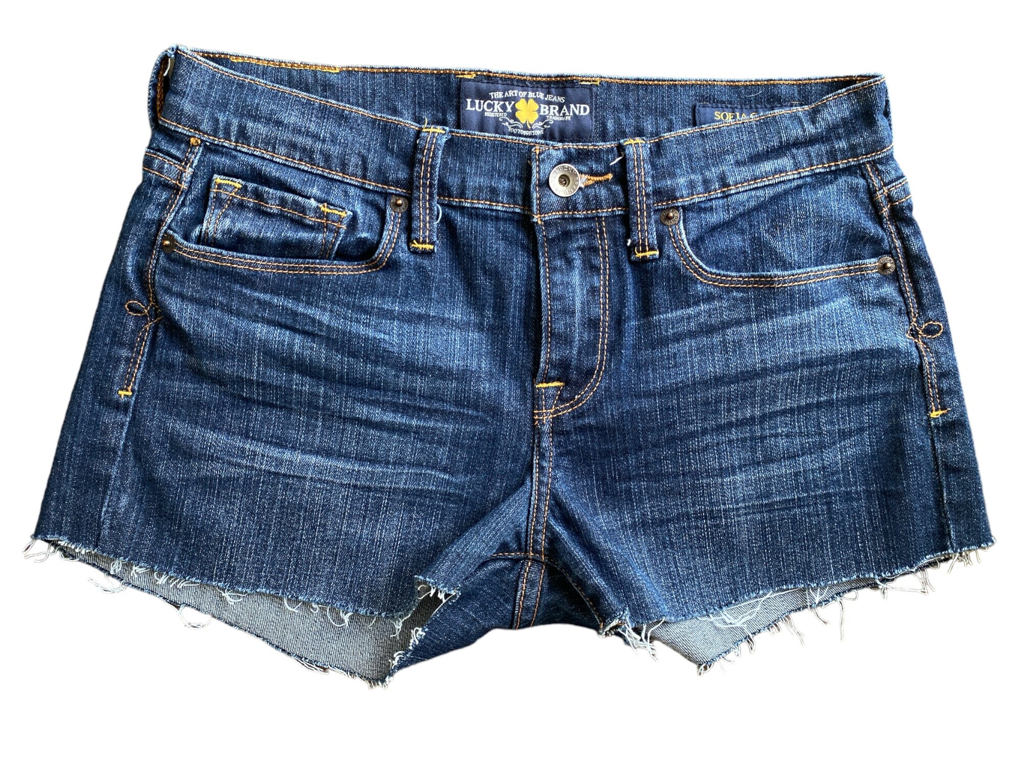 Y2K Denim Shorts Low Waisted Blue Jean Short 00s Jean Shorts Low