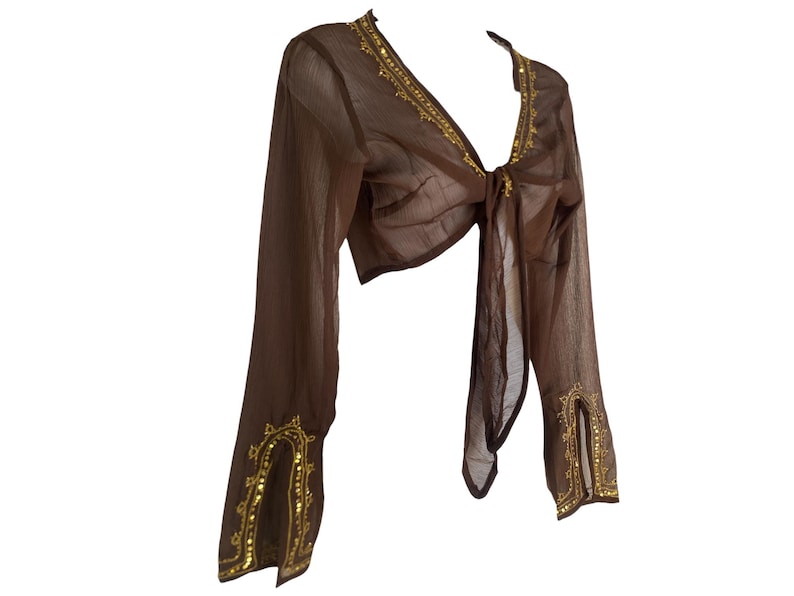 Blusa de seda Y2K con cinturón, seda marrón, gasa, lentejuelas doradas, estilo romántico bohemio, manga larga, escote en V profundo, top corto estilo bohemio vintage Y2K con cinturón - L imagen 8