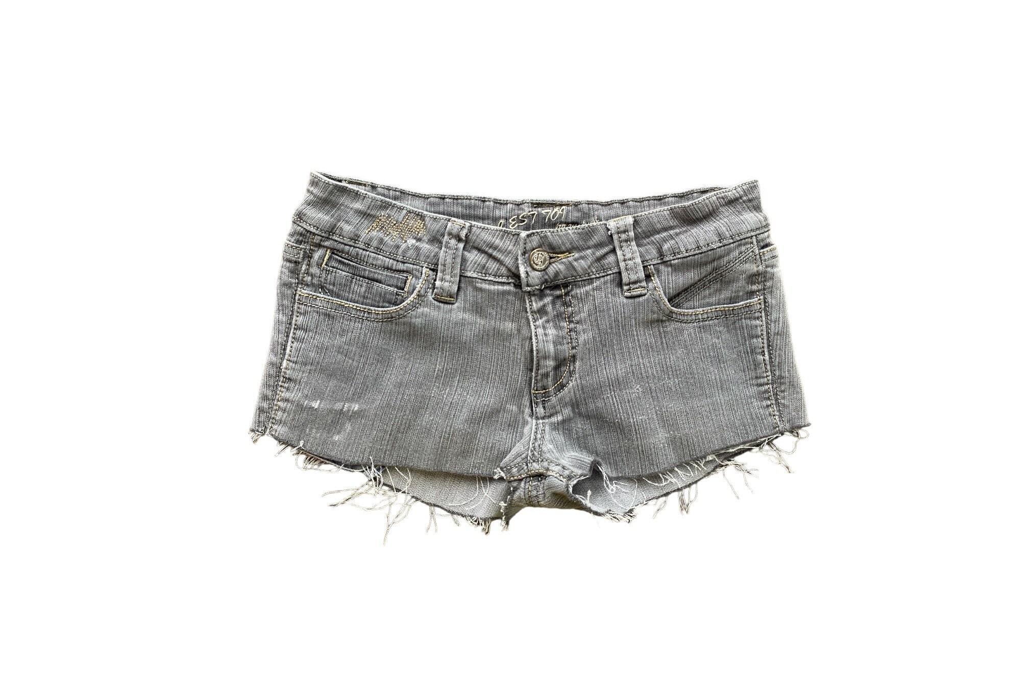 Y2K Denim Shorts Low Waisted Gray Jean Short Embroidered