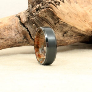 Beveled Black Zirconium Wood Ring Lined with Stabilized Black Ash Burl image 3